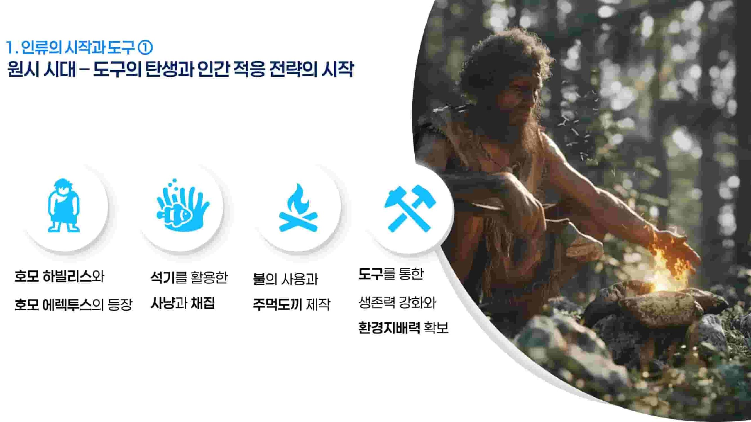원시 시대 – 도구의 탄생과 인간 적응 전략의 시작