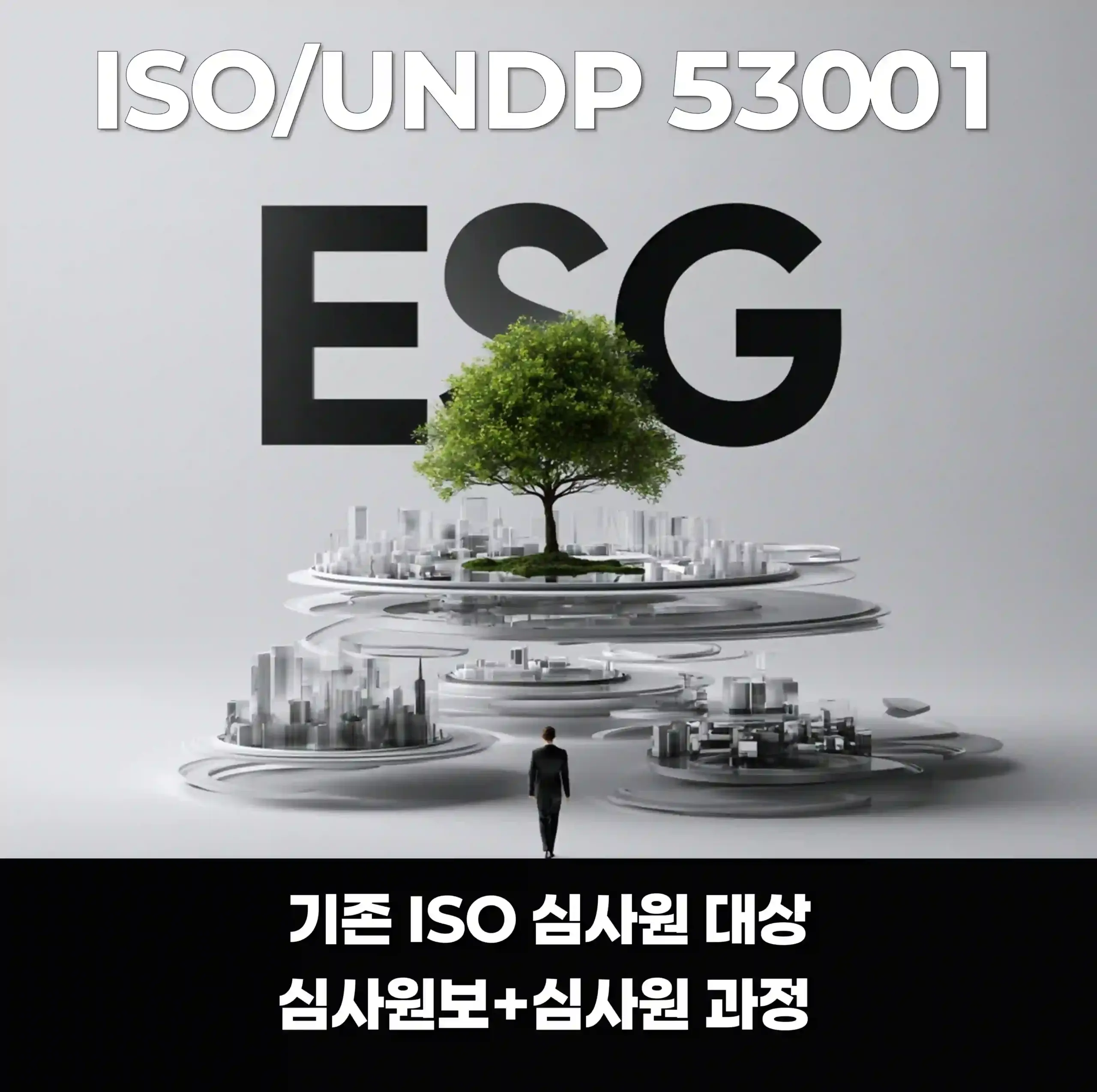 기존 ISO 심사원 대상 ISO/UNDP 53001 심사원보·심사원 과정 안내